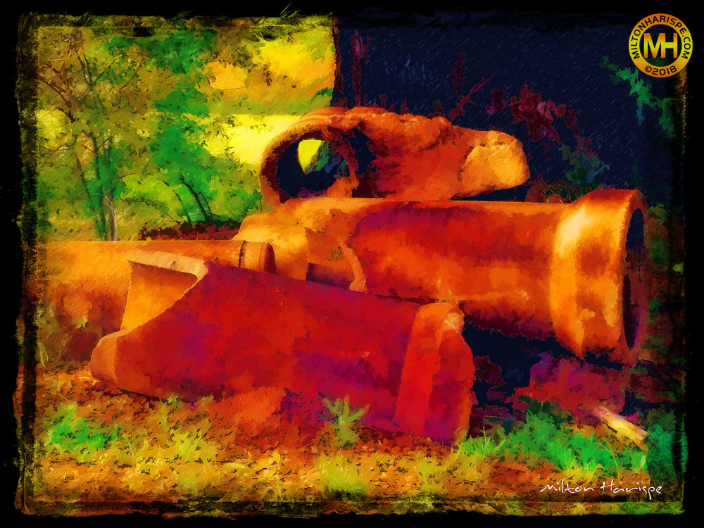 P5102482-Edit copy_ORF-Orig-Adj.jpg